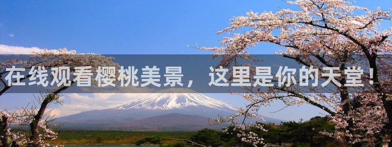 午夜影院在线观看播放免费高清视频