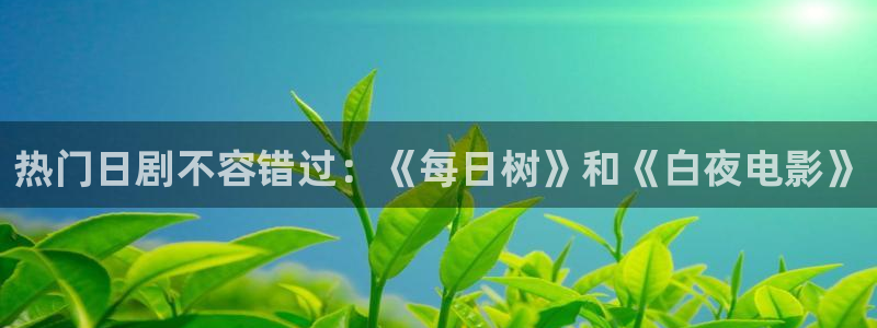 午夜影院在线观看电视