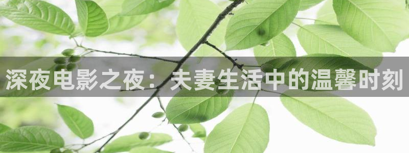 星空天美免费观看高清