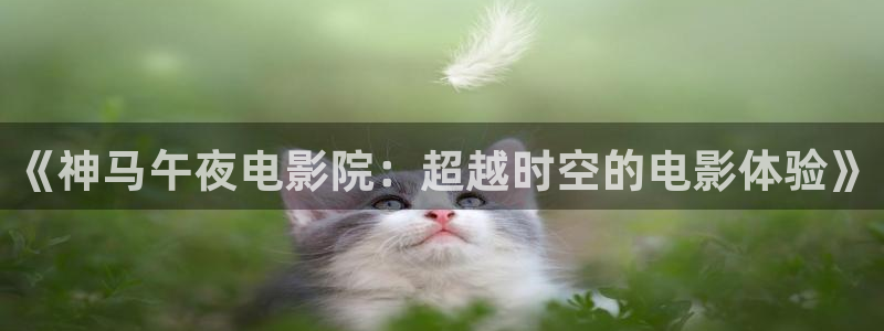 午夜影院电影高清免费观看