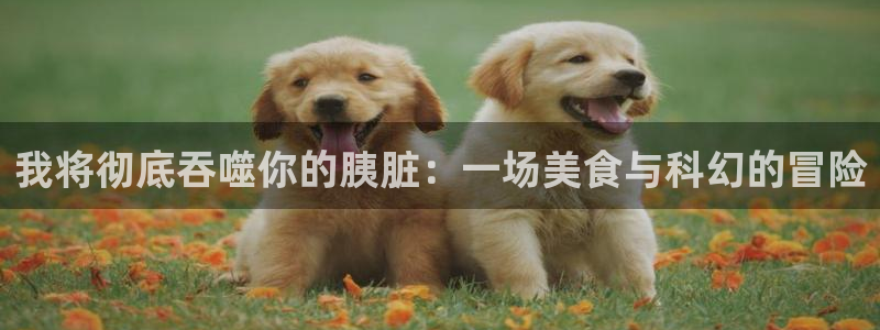 午夜影院免费入口