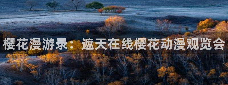 星空无痕mv电影免费观看