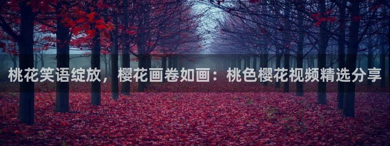 午夜影院在线播放免费