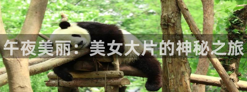 沧元图星空影视