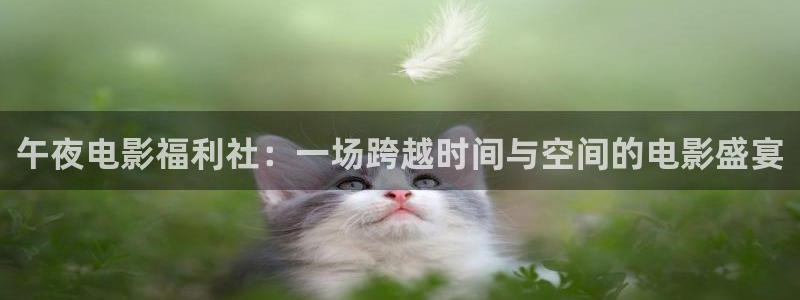 星空电影走廊