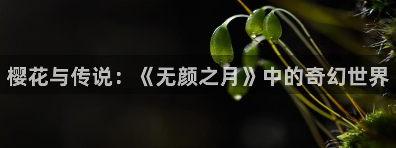 星空传媒免费电影
