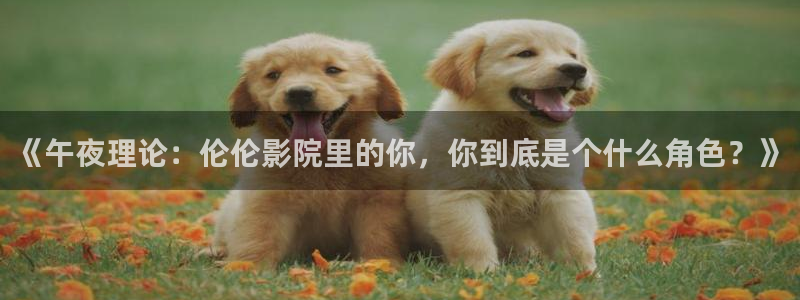 午夜影院好看电影在线观看