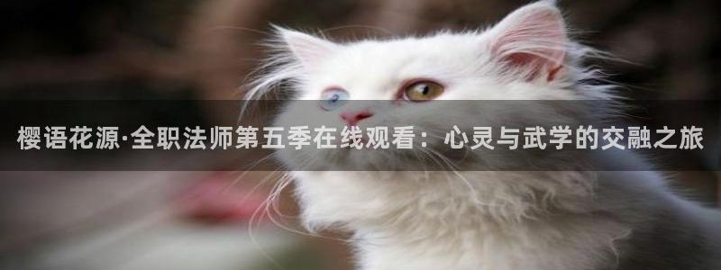 午夜影院好看电影在线观看