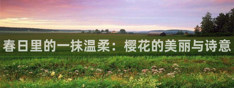 星空视频在线免费看