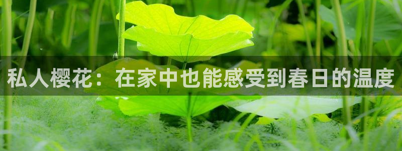 呼市凯诺星空国际影城