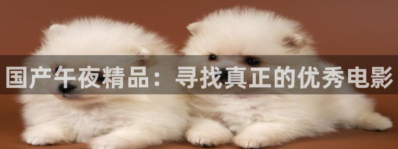 午夜影院在线观看免费播放电视剧最