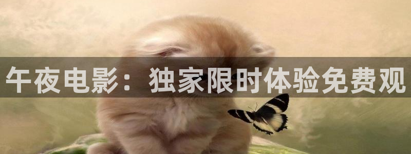 观看星空