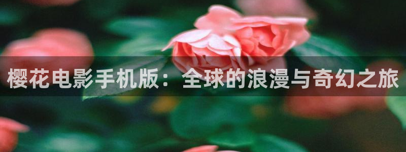 关于星空的电影有哪些