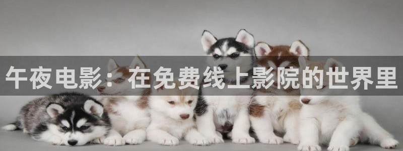 午夜影院电视免费
