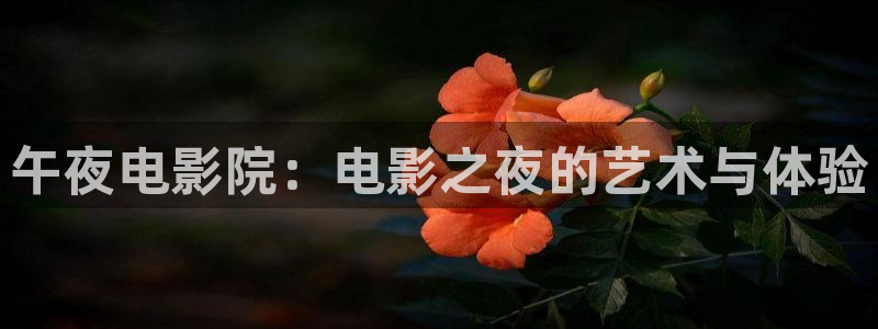 午夜影院影视大全免费观看