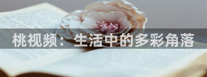 星空免费电影