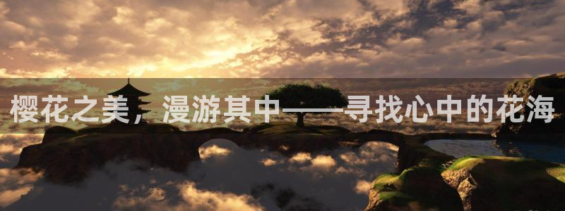 星空影视在线观看免费播放电视剧