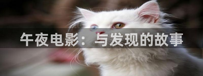 关于星空
